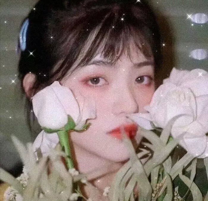 查理的意见